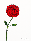 Scarlet Rose Printable Wall Art Red Rose Digital Download Maxine Jackson